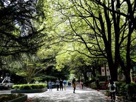 花溪校区十五号教学楼